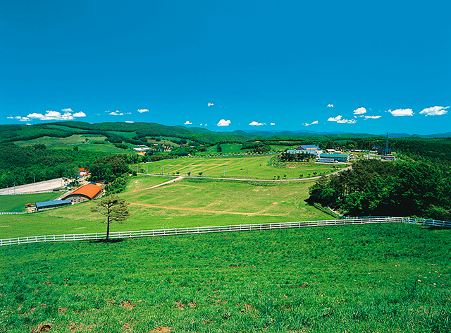 /くずまき高原牧場(/)