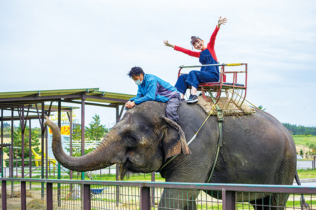 ゾウ乗り体験/岩手サファリパーク(岩手県/一関市)