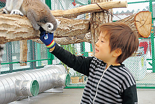 ふれあい広場/岩手サファリパーク(岩手県/一関市)