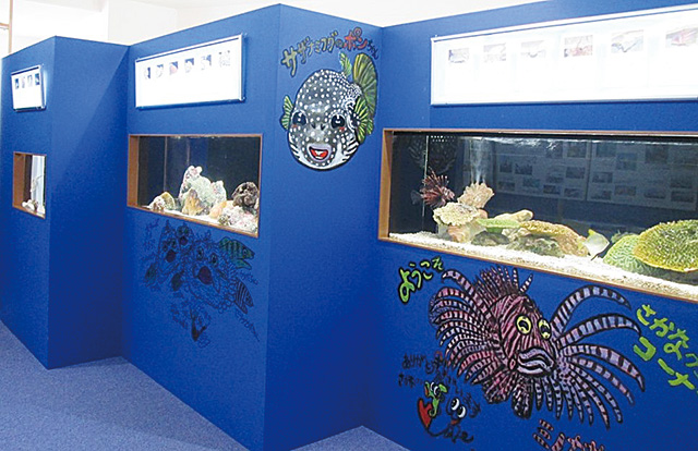 久慈地下水族科学館もぐらんぴあ(岩手県/久慈市)