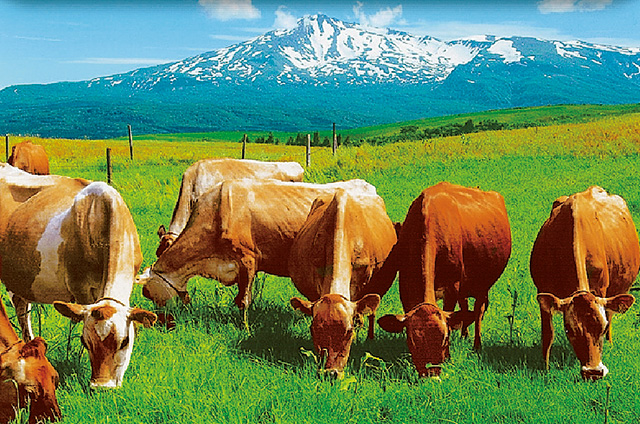 仁賀保高原/土田牧場(秋田県/にかほ市)