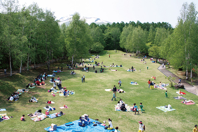 ピクニック広場/弥生いこいの広場(青森県/弘前市)
