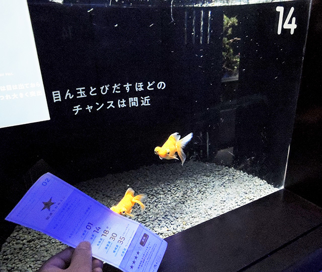 「金運」ゾーン/横浜開運水族館 フォーチュンアクアリウム（神奈川県/横浜市）