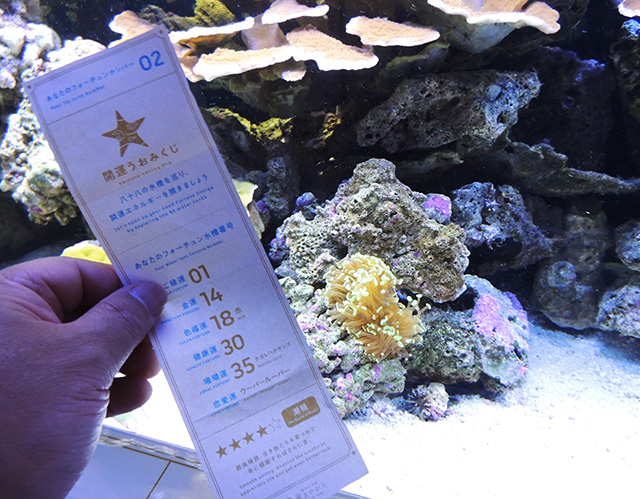 「珊瑚運」ゾーン/横浜開運水族館 フォーチュンアクアリウム（神奈川県/横浜市）