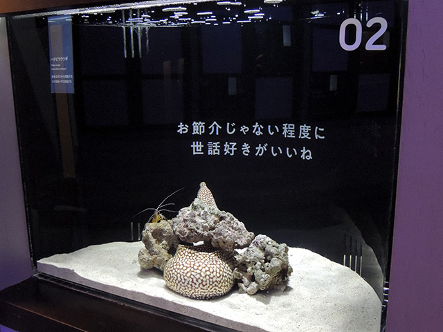 「ご縁運」ゾーン/横浜開運水族館 フォーチュンアクアリウム（神奈川県/横浜市）