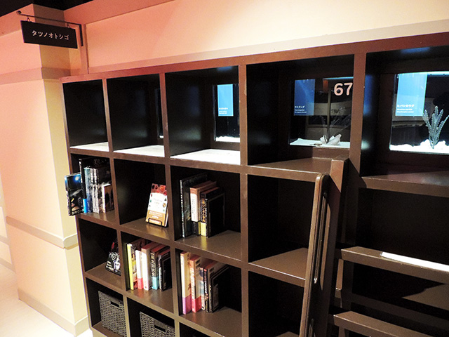 タツノオトシゴ/横浜開運水族館 フォーチュンアクアリウム（神奈川県/横浜市）