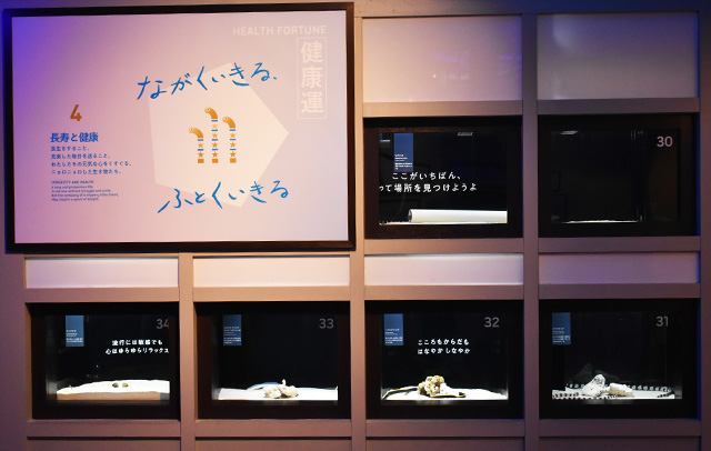 「健康運」ゾーン/横浜開運水族館 フォーチュンアクアリウム（神奈川県/横浜市）