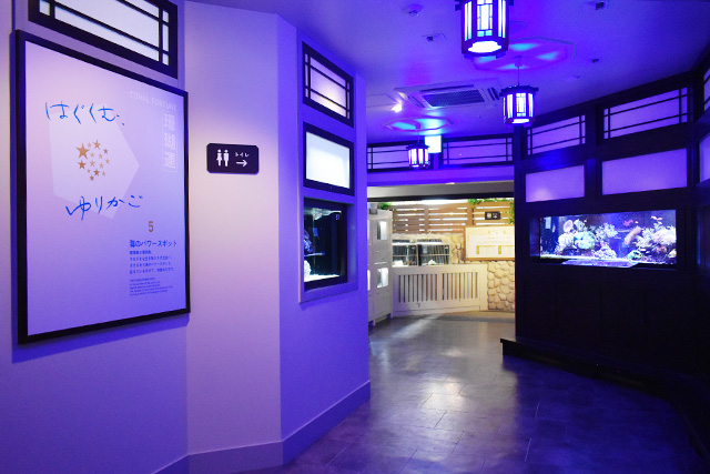 「珊瑚運」ゾーン/横浜開運水族館 フォーチュンアクアリウム（神奈川県/横浜市）