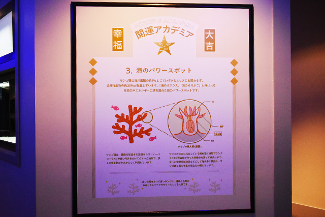 「珊瑚運」ゾーン/横浜開運水族館 フォーチュンアクアリウム（神奈川県/横浜市）