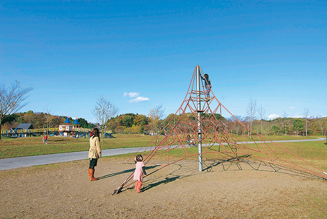 ロープの遊具/杜の都信用金庫モリリン加瀬沼公園(宮城県/利府町)