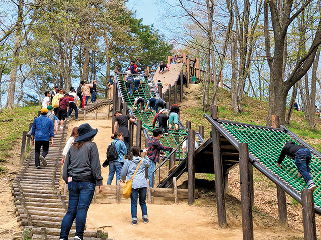 アスレチック遊具/万葉クリエートパーク(宮城県/大衡村)