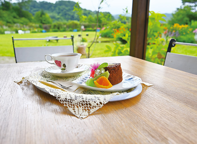 カフェフェリシアのケーキセット/泉ボタニカルガーデン(宮城県/仙台市)