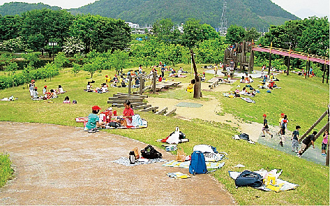 芝生エリア/山形県総合運動公園(天童市)