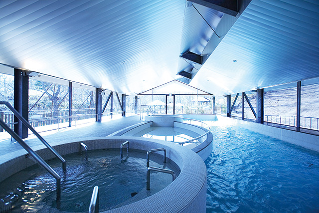 屋内プール/エンゼルフォレスト那須白河(福島県/天栄村)