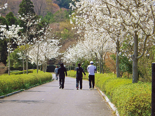 ピクニックゾーン/県営いわき公園(福島県/いわき市)