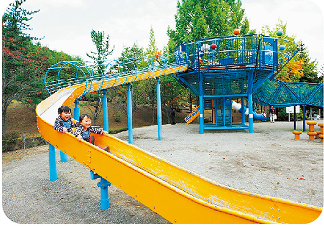 ンビネーションローラーすべり台/岩手県立花巻広域公園(岩手県/花巻市)