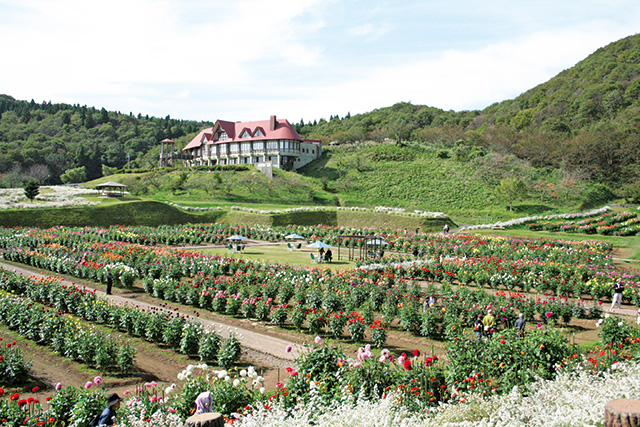 秋田国際ダリア園(秋田県/秋田市)