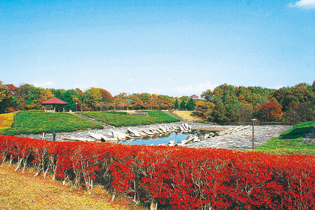 ァミリーピクニックゾーン/秋田県立中央公園(秋田市)