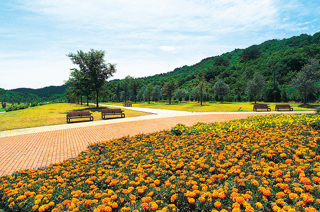 花公園エントランス/太平山リゾート公園(秋田県/秋田市)