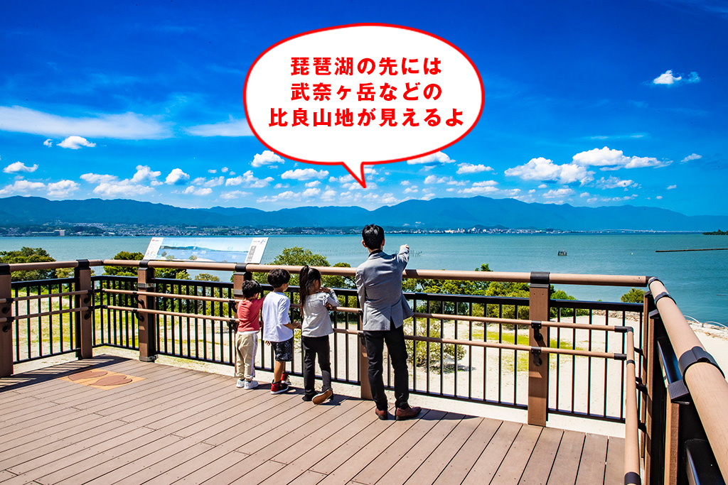 樹冠トレイル/滋賀県立琵琶湖博物館（滋賀県/草津市）