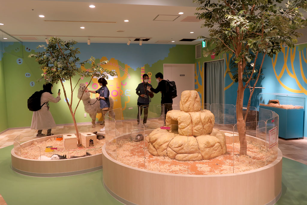 ラブリー・アニモア