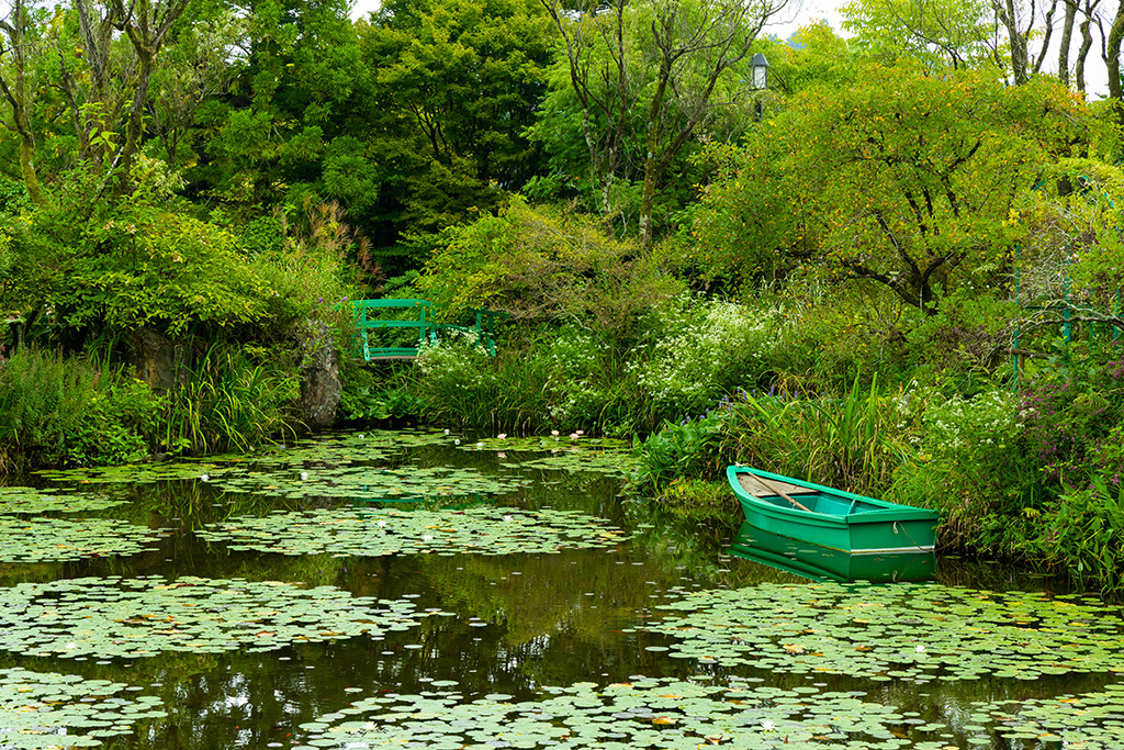 睡蓮の庭/ガーデンミュージアム比叡(京都府/京都市)