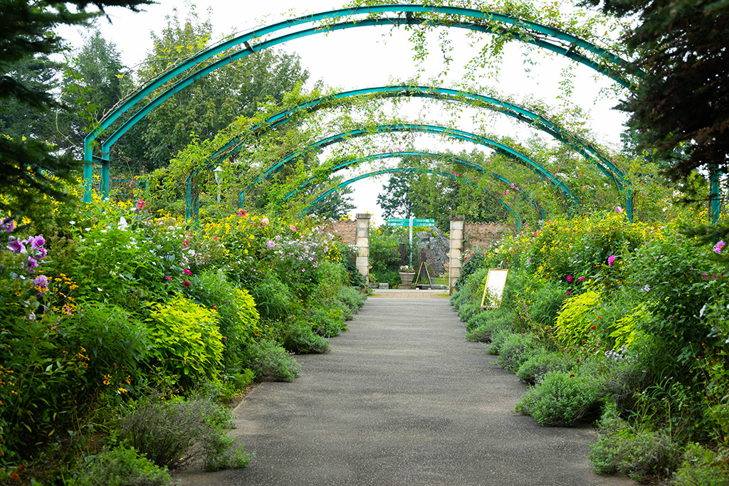 花の庭/ガーデンミュージアム比叡(京都府/京都市)