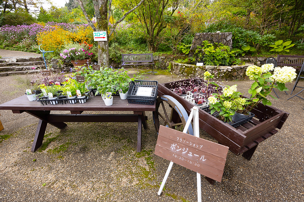 フラワーショップ「ボンジュール」/ガーデンミュージアム比叡(京都府/京都市)