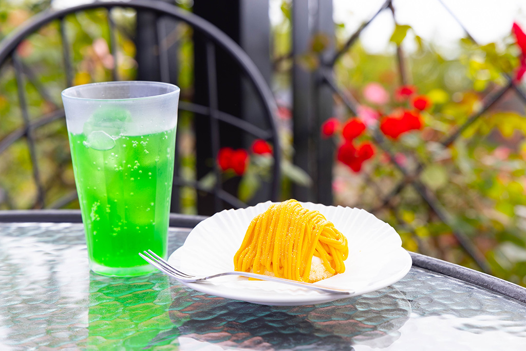 ケーキセット/ガーデンミュージアム比叡(京都府/京都市)