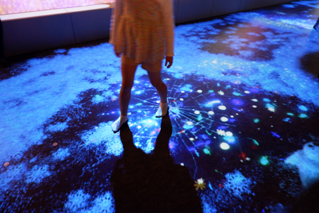 デジタルいきもの探し「DISCOVERY GARDEN」/リトルプラネット イオンモール川口