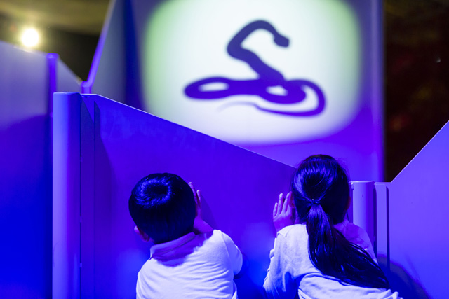 草むらのすみか／モビリティリゾートもてぎ　巨大ネットの森 SUMIKA