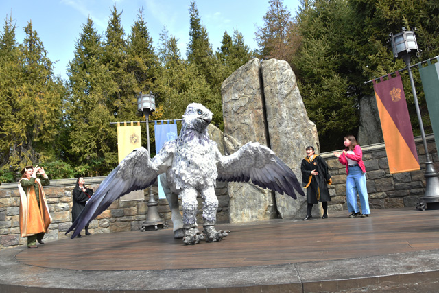 ヒッポグリフに認めてもらえたら大きく羽根を広げてくれます／ユニバーサル・スタジオ・ジャパン（大阪府）