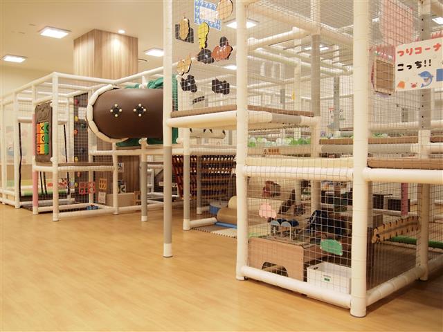 巨大ジャングルジム/グレイス・リバティー オンパミード イオンモールつくば店