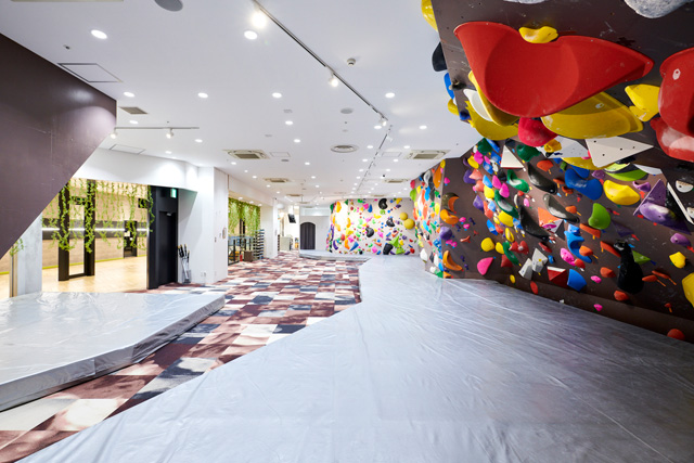 初心者~プロまで楽しめる神奈川最大級の施設/D.Bouldering八王子OPA店