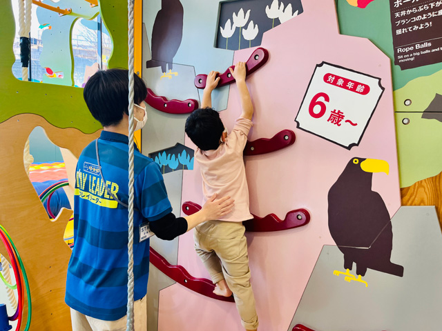 クライミングウォール/キドキド よみうりランド店