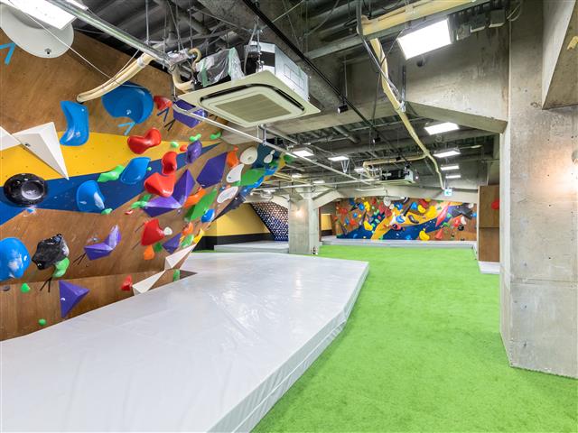 神奈川最大級の施設/ディーボルダリング本厚木