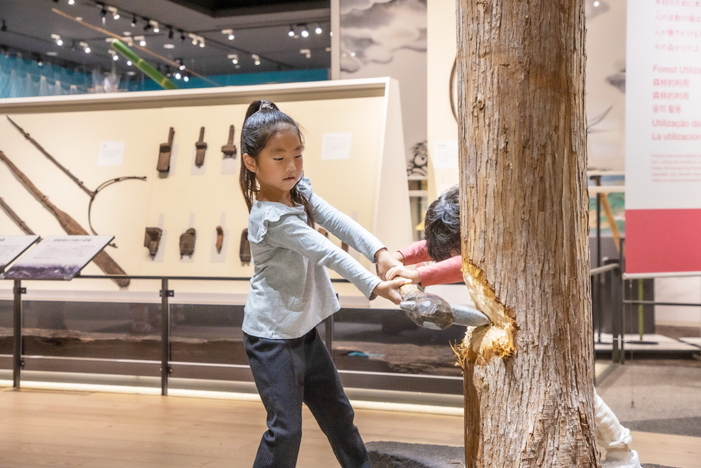 縄文人の暮らしのの体験/滋賀県立琵琶湖博物館（滋賀県/草津市）
