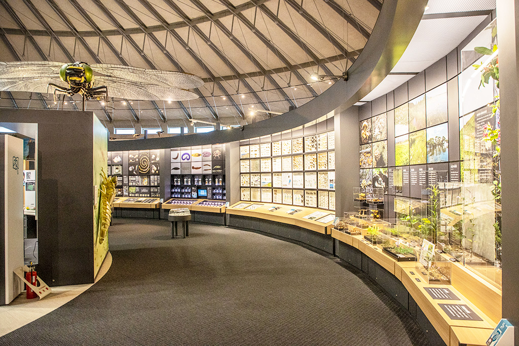 2階「C展示室」/滋賀県立琵琶湖博物館（滋賀県/草津市）