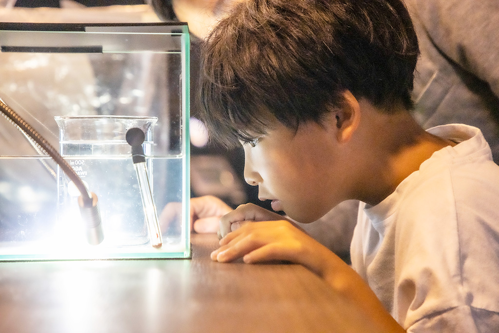 ミジンコ「ノロ」/滋賀県立琵琶湖博物館（滋賀県/草津市）