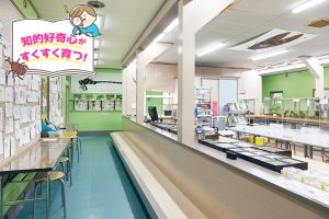 佐用町昆虫館（兵庫県）は、入場無料で生体観察や昆虫採集が体験できる子どもの秘密基地！