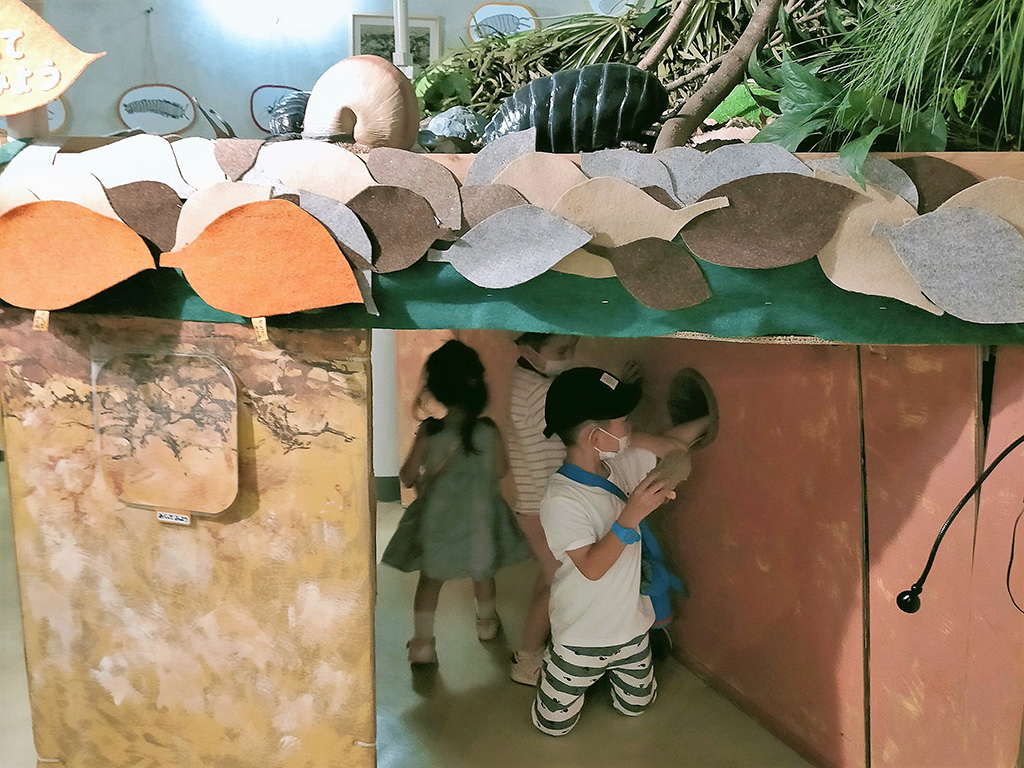 土の中を探検した気分になれるトンネル/高槻市自然博物館 あくあぴあ芥川（大阪府/高槻市）