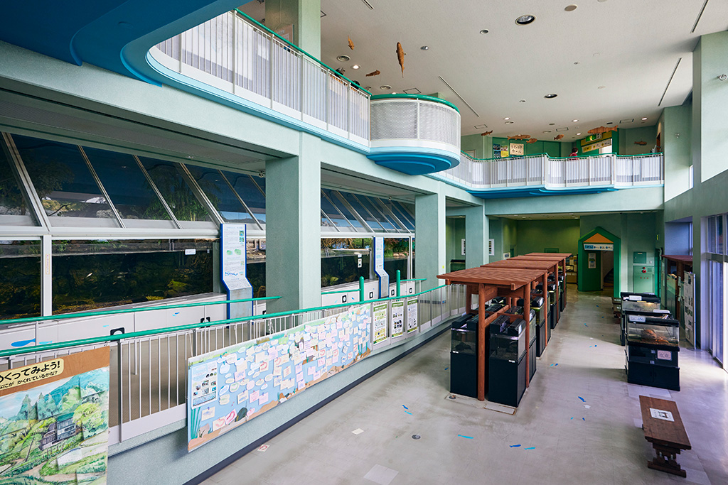 2階の水槽コーナー/高槻市自然博物館 あくあぴあ芥川（大阪府/高槻市）