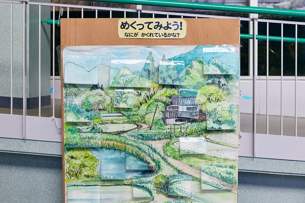 「めくってみよう！」のコーナー/高槻市自然博物館 あくあぴあ芥川（大阪府/高槻市）