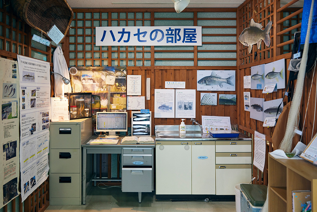 ハカセの部屋/高槻市自然博物館 あくあぴあ芥川（大阪府/高槻市）