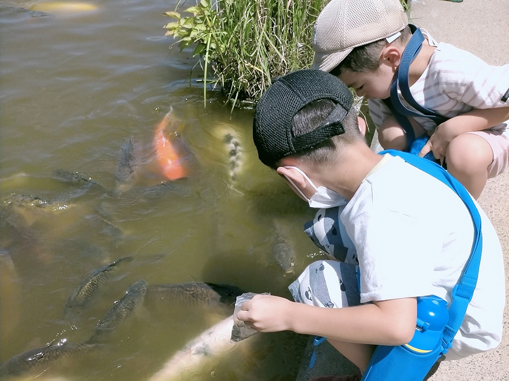 4階のエントランス前の池/高槻市自然博物館 あくあぴあ芥川（大阪府/高槻市）