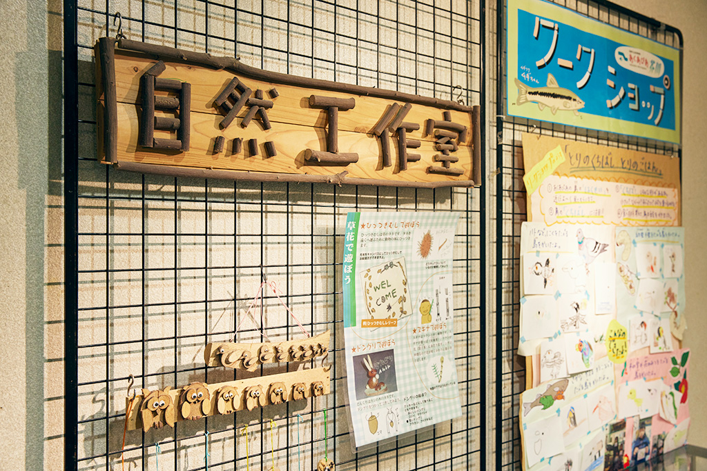 自然工作教室/高槻市自然博物館 あくあぴあ芥川（大阪府/高槻市）