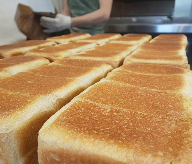 地元の食材でキャンプ飯を体験