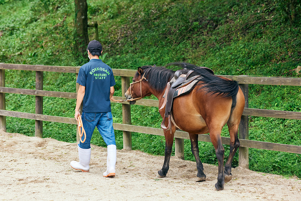 馬やポニーの乗馬体験/神戸市立六甲山牧場(兵庫県/神戸市)