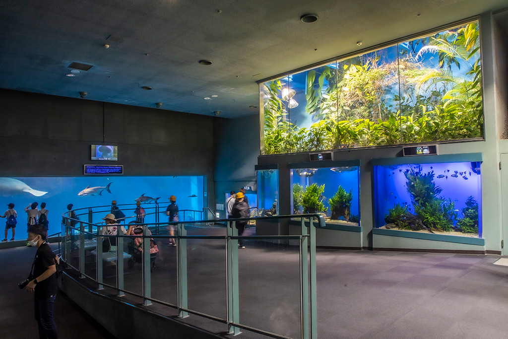 「ジャングルワールド」/鳥羽水族館（三重県/鳥羽市）