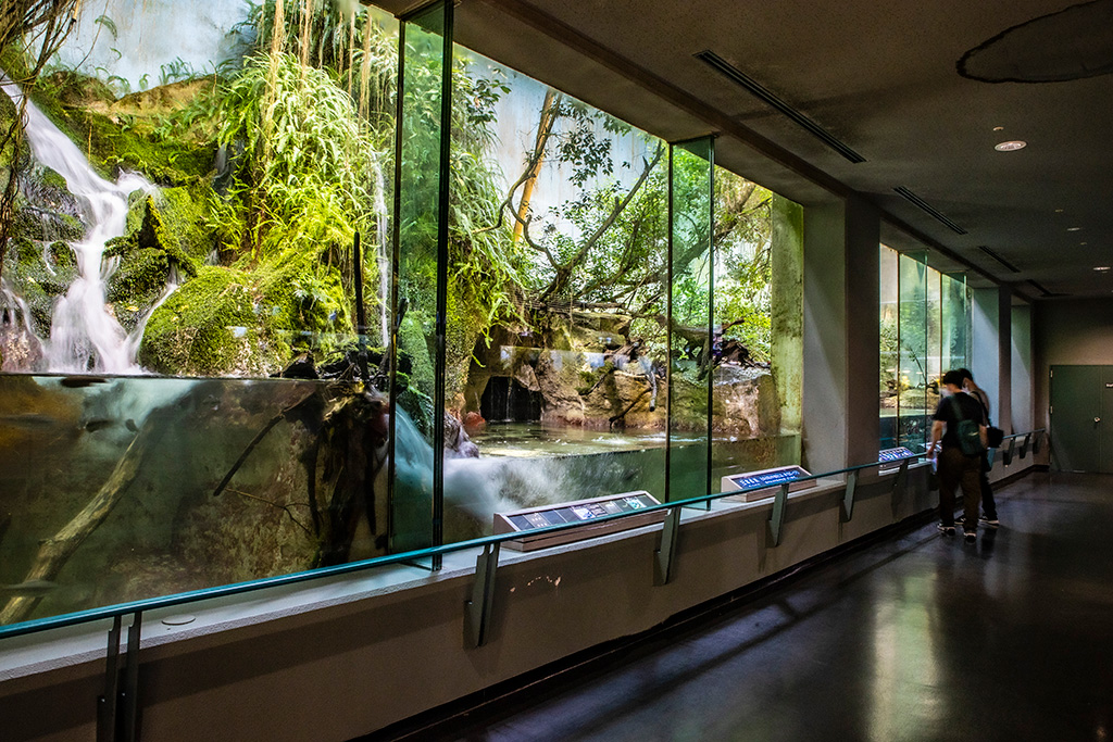 「日本の川」/鳥羽水族館（三重県/鳥羽市）